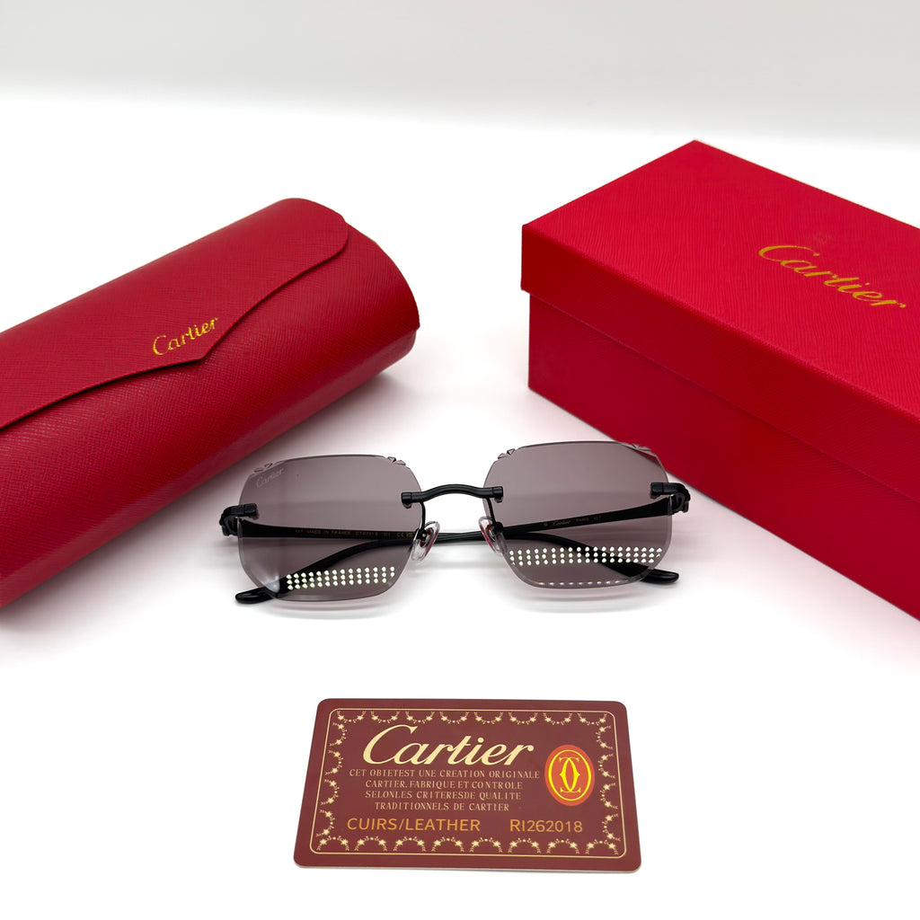 Cartier CT0731S