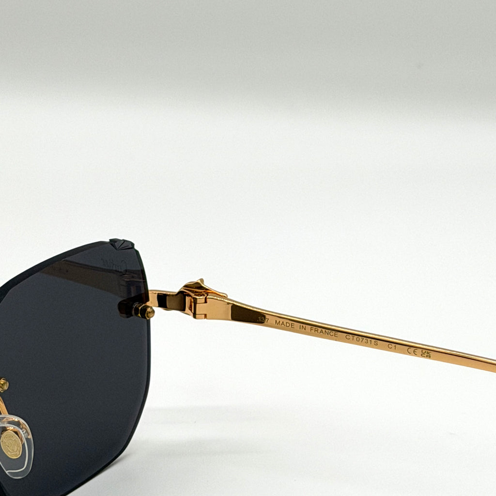 Cartier CT0731S