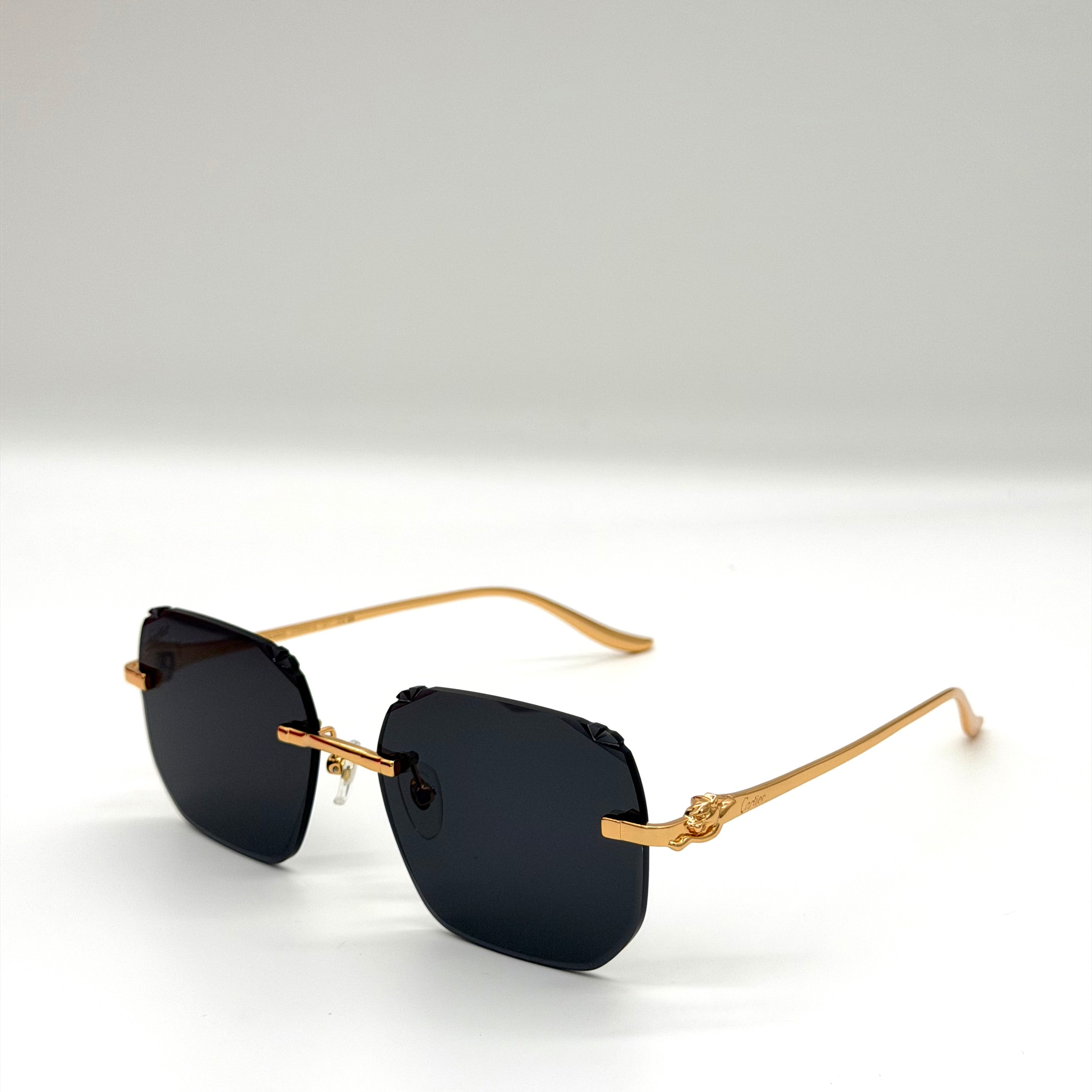 Cartier CT0731S