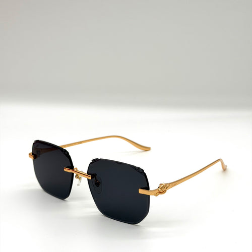 Cartier CT0731S