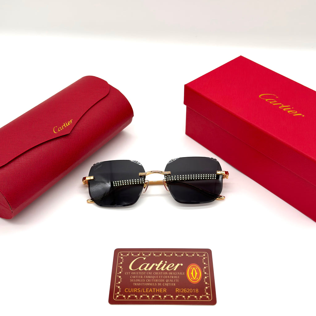 Cartier CT0731S